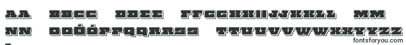 Fonte Chicagoexpresspunch – fontes polonesas