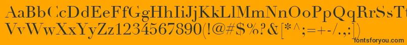 LinotypeDidotLtRoman Font – Black Fonts on Orange Background