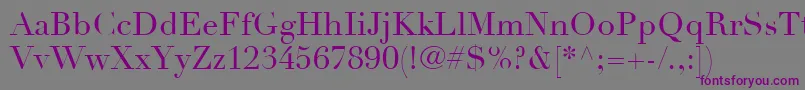 LinotypeDidotLtRoman Font – Purple Fonts on Gray Background