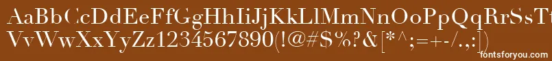 LinotypeDidotLtRoman Font – White Fonts on Brown Background