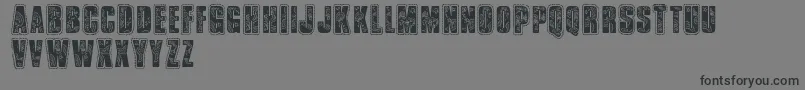 Vtksbandana-Schriftart – Schwarze Schriften auf grauem Hintergrund