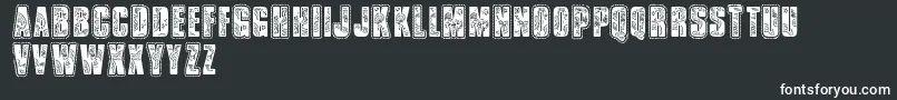 Vtksbandana Font – White Fonts on Black Background