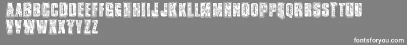 フォントVtksbandana – 灰色の背景に白い文字