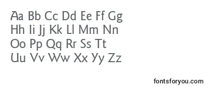 Review of the ItcGoudySansLtMedium Font