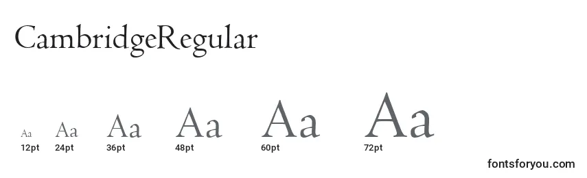 CambridgeRegular Font Sizes