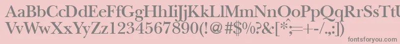 BaskervillenovatwodemiRegular Font – Gray Fonts on Pink Background