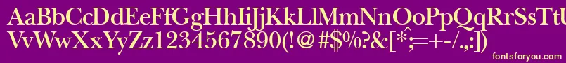 BaskervillenovatwodemiRegular Font – Yellow Fonts on Purple Background