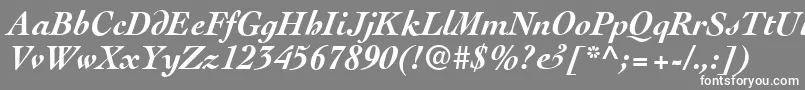 CockneyBolditalic Font – White Fonts on Gray Background