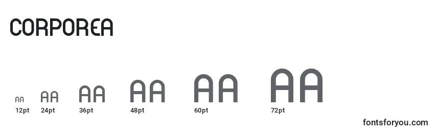 Corporea Font Sizes