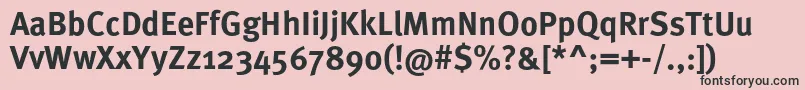 MetaproBold Font – Black Fonts on Pink Background