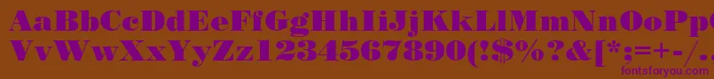 StandardPosterRegular Font – Purple Fonts on Brown Background