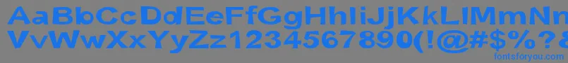 フォントSnottBold – 灰色の背景に青い文字