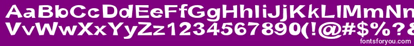 フォントSnottBold – 紫の背景に白い文字