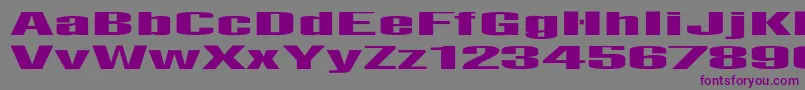 フォントAbensLied – 紫色のフォント、灰色の背景