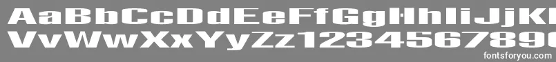 フォントAbensLied – 灰色の背景に白い文字