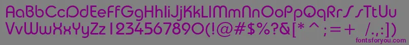 Taurusbookc Font – Purple Fonts on Gray Background