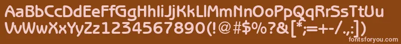 BenjaminsansBold Font – Pink Fonts on Brown Background
