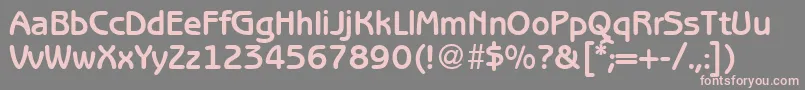 BenjaminsansBold Font – Pink Fonts on Gray Background