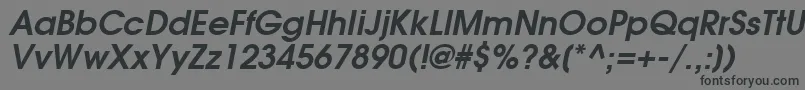 AvalancheBoldItalic Font – Black Fonts on Gray Background
