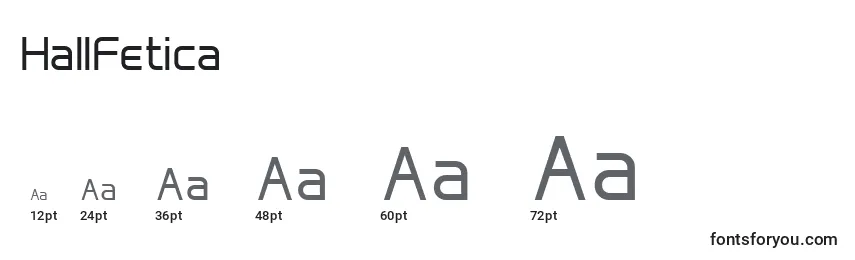 Размеры шрифта HallFetica