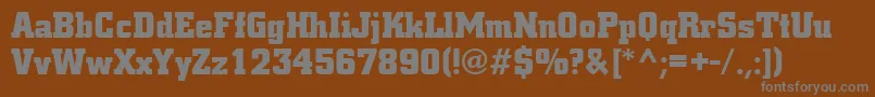 CityBold Font – Gray Fonts on Brown Background