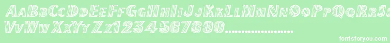 TexMexDisplaySsiExtraBold Font – White Fonts on Green Background