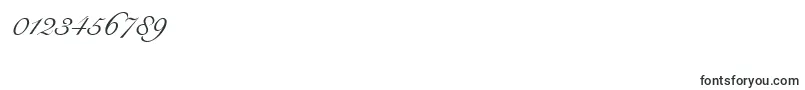 RoundhandRegularDb Font – Fonts for Numbers and Digits