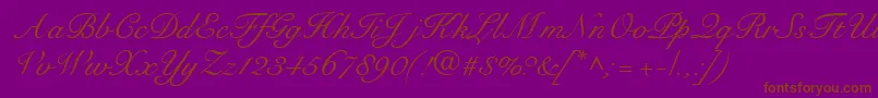 RoundhandRegularDb Font – Brown Fonts on Purple Background