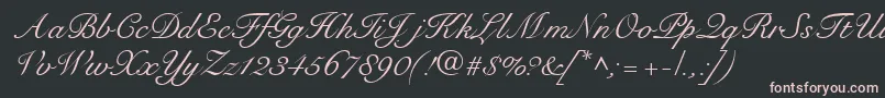 RoundhandRegularDb Font – Pink Fonts on Black Background