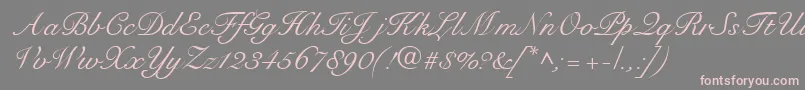RoundhandRegularDb Font – Pink Fonts on Gray Background