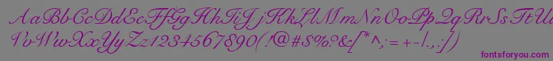 RoundhandRegularDb Font – Purple Fonts on Gray Background