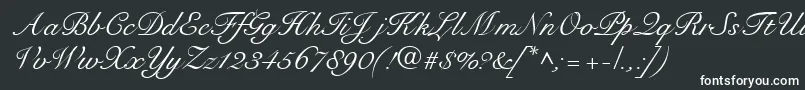 RoundhandRegularDb Font – White Fonts on Black Background
