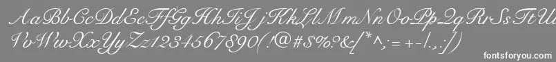 Lisätietoja RoundhandRegularDb-fontista RoundhandRegularDb-fontti – valkoiset fontit harmaalla taustalla