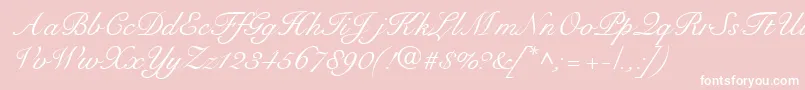 Подробнее о шрифте RoundhandRegularDb Шрифт RoundhandRegularDb – белые шрифты на розовом фоне