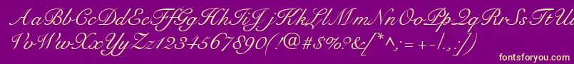 RoundhandRegularDb Font – Yellow Fonts on Purple Background