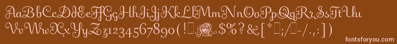 FlingLetPlain.1.0 Font – Pink Fonts on Brown Background