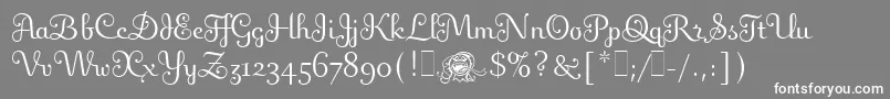 FlingLetPlain.1.0 Font – White Fonts on Gray Background