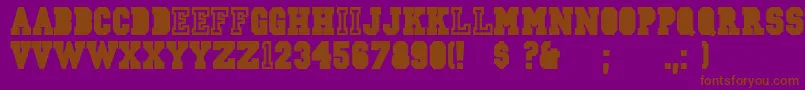 CsdJerseyNorm-fontti – ruskeat fontit violetilla taustalla