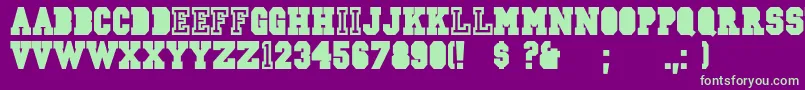CsdJerseyNorm Font – Green Fonts on Purple Background