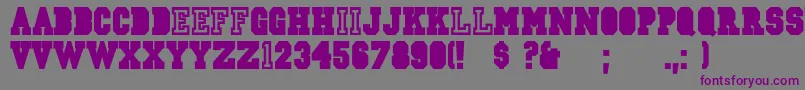 フォントCsdJerseyNorm – 紫色のフォント、灰色の背景