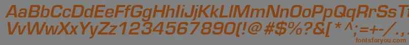 PalindromeSsiSemiBoldItalic Font – Brown Fonts on Gray Background