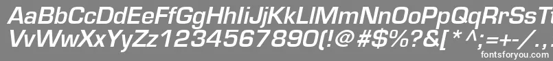 PalindromeSsiSemiBoldItalic Font – White Fonts on Gray Background