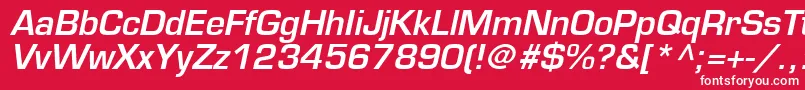 PalindromeSsiSemiBoldItalic Font – White Fonts on Red Background