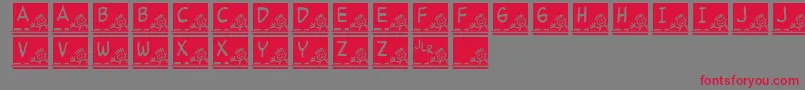 フォントJlrSchoolSlate – 赤い文字の灰色の背景