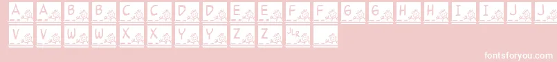 JlrSchoolSlate Font – White Fonts on Pink Background