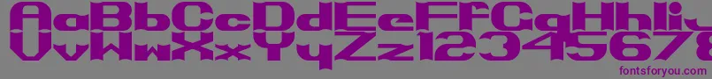 Primo Font – Purple Fonts on Gray Background