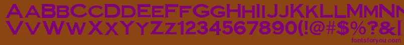 SteelplategothicboldNormal Font – Purple Fonts on Brown Background