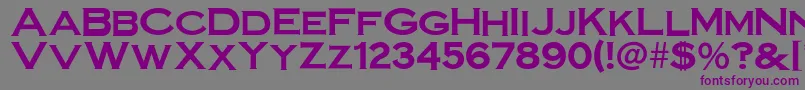 SteelplategothicboldNormal Font – Purple Fonts on Gray Background