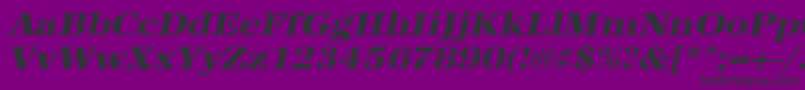 UrwantiquatextbolextwidOblique Font – Black Fonts on Purple Background