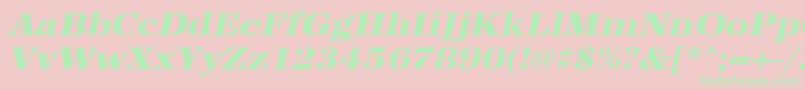 UrwantiquatextbolextwidOblique Font – Green Fonts on Pink Background